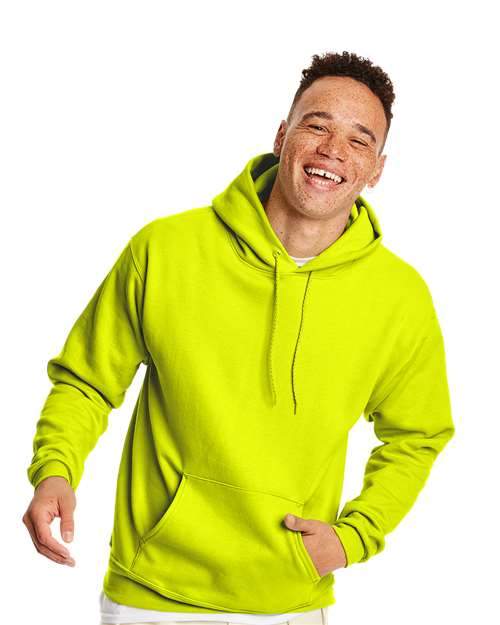 Hanes Ecosmart Hooded Sweatshirt - Hudson Valley Prints