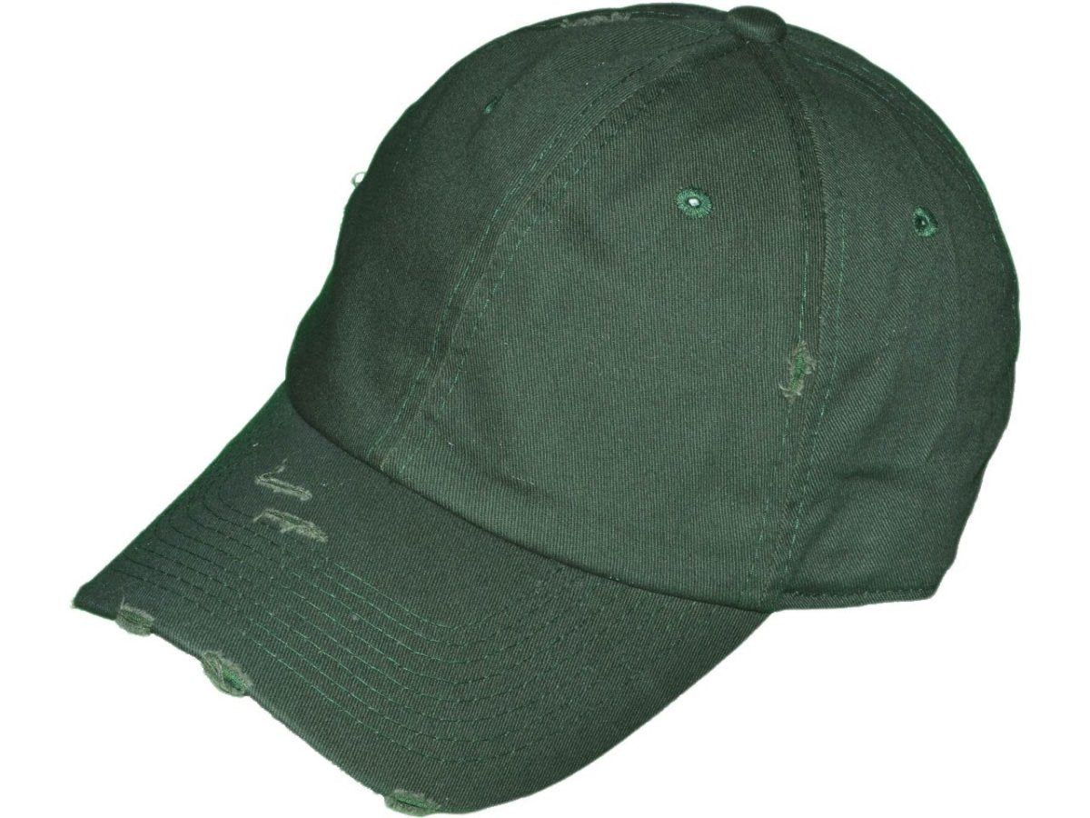 Vintage Dad Hats - Hudson Valley Prints