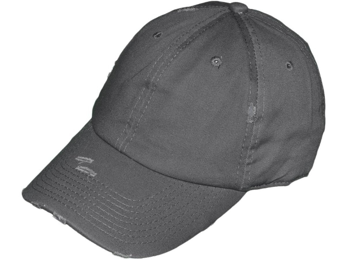 Vintage Dad Hats - Hudson Valley Prints