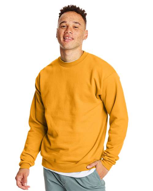 Hanes Ecosmart Crewneck Sweatshirt - Hudson Valley Prints