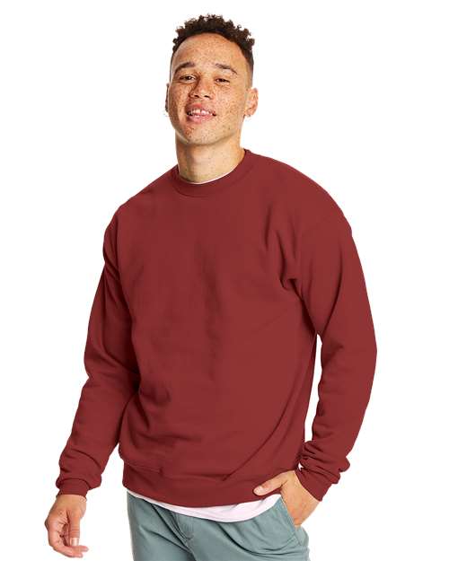 Hanes Ecosmart Crewneck Sweatshirt - Hudson Valley Prints