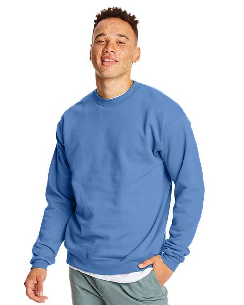 Hanes Ecosmart Crewneck Sweatshirt - Hudson Valley Prints