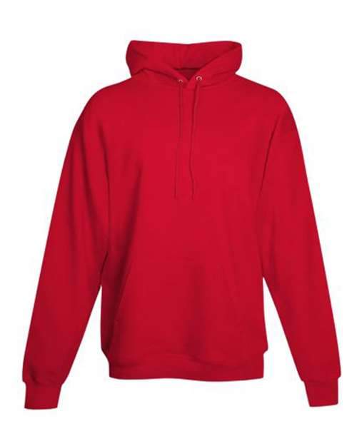 Hanes Ecosmart Hooded Sweatshirt - Hudson Valley Prints